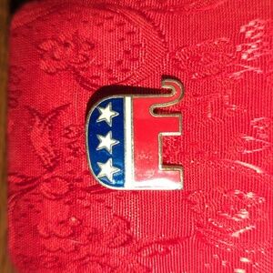 GOP flag pin
